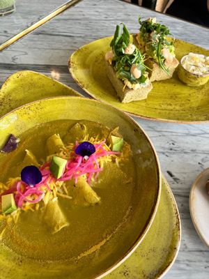  at Plantissa in Playa Del Carmen