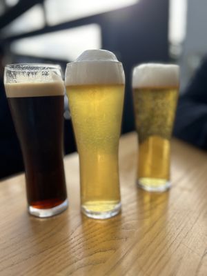 Beers   at Underworld Tavern in Wellington