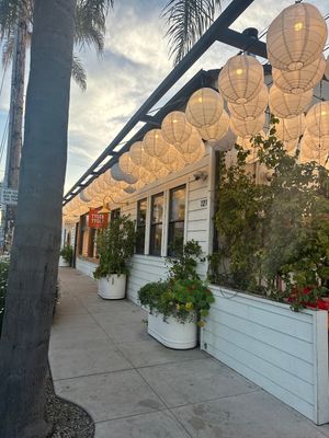   at Tyger Tyger in Santa Barbara