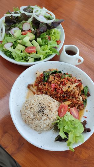 Stir-fried mushrooms w/basil & salad (no egg) #Veganuary at Organic Room in Ayutthaya