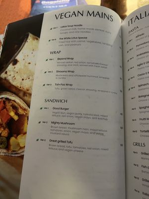 one of the pages (there is  also a appetiser vegan site and another half page for vegan mains)   at The White Lotus Cafe in Kathmandu