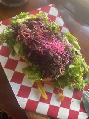   at Alta Gula in Holbox