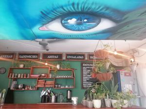  at Alta Gula in Holbox