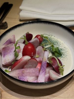   at and/or  in Antwerpen