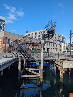 It's too cold to swim at Harbourside Market in Wellington