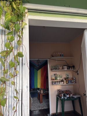   at Veguai in Florianopolis