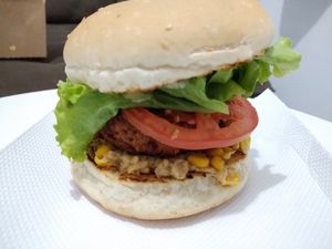 X Albatroz at Veguai in Florianopolis