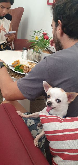  at Cri Cri Cru Restaurante (Loja Bênção Brasil) in Sao Paulo