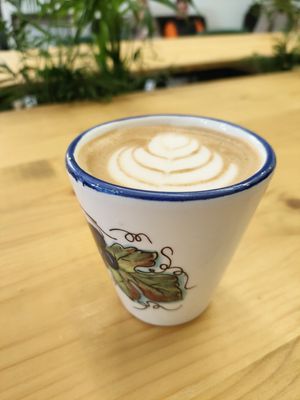  at Ammazza Caffé in Verona