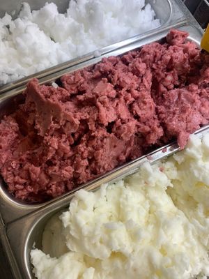  at Vincent in Viareggio