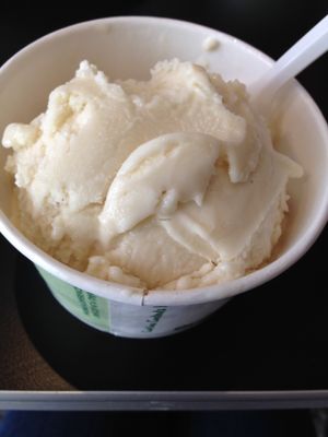 Vegan vanilla ice cream at Waffle Frolic in Ithaca