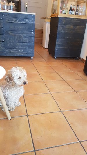  at Coffee + Matcha Bar in Basel