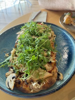   at Alubia plant power in Mallorca