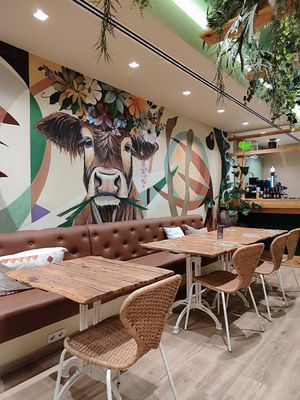 👌 at Alubia plant power in Mallorca