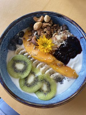 Yogurito  at Alubia plant power in Mallorca