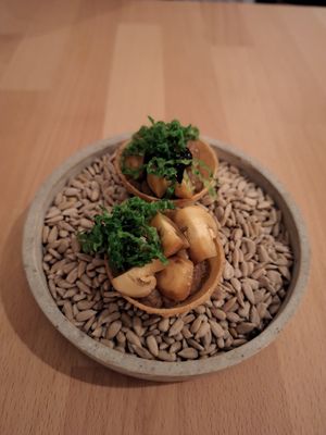 Starter at Gerüchteküche in Graz