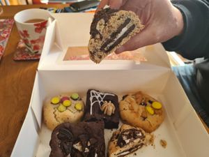 Treat box from Curious Crumbs - all vegan and gluten free! at Curious Crumbs in Paignton