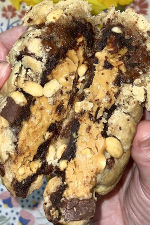   at Curious Crumbs in Paignton