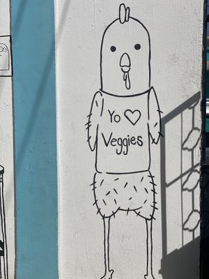 Me encantaron las paredes y sus mensajes  at La Veggi Guarida in Tepic