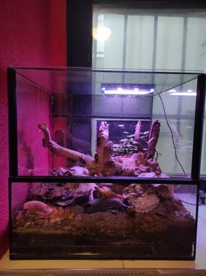 Terrarium at ŠMAK in Bratislava