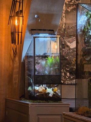  at ŠMAK in Bratislava