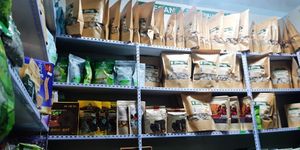  at Healthy Vegan Food - -Altjin Bumbugur Market in Ulaanbaatar