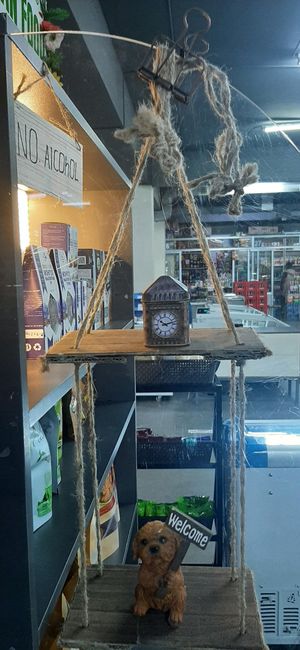  at Vegan Grocery Shop-Bayangol Market in Ulaanbaatar