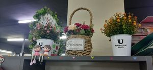  at Vegan Grocery Shop-Bayangol Market in Ulaanbaatar