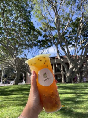 To go  at GOLD LEAF in Manly