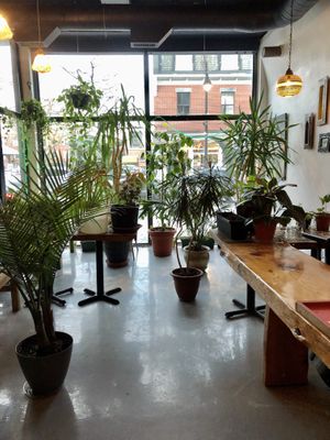 Inside at Omnivore Comptoir-Grill in Montreal