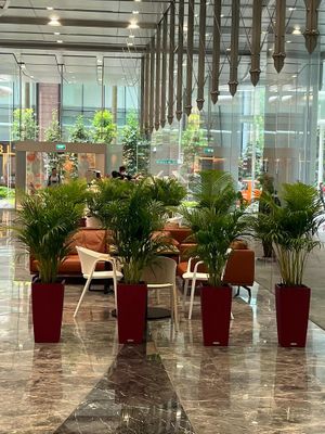  at Gokul Raas Vegetarian - Bank of Singapore in Central Singapore