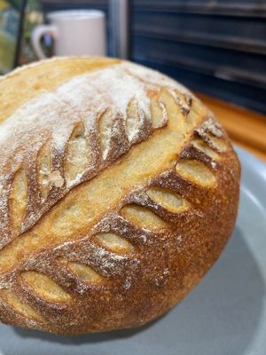sourdough Bread at Coraje Vegan in Medellin