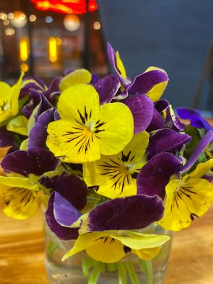 The beauty of the simple at Coraje Vegan in Medellin