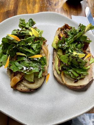 Toast with a eggplant and mushrooms ❤️  at Coraje Vegan in Medellin