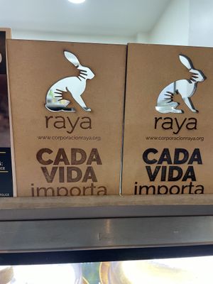 Every life matters   at Coraje Vegan in Medellin