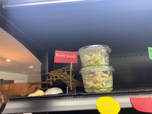 Vegan salad at Otehei Bay in Northland