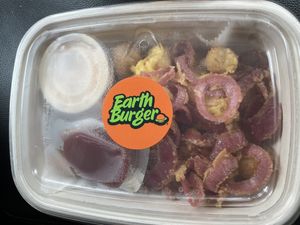 Loaded tots  at Earth Burger - Oomi Kitchen  in Dallas