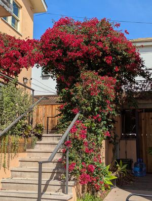  at Bakers Bench - Pop-up in Los Angeles