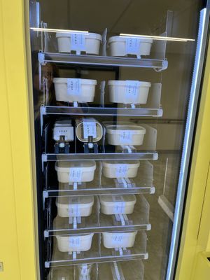   at Veat - Sankt Görans Sjukhus in Stockholm