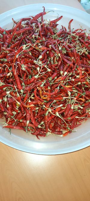 Georgian Kitchen Vegan & Vegetarierin  #Veganuary at BATUMI in Berlin