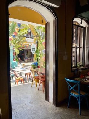   at V Vegan in Hoi An