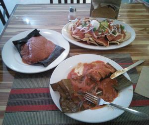 Chilaquiles, and two different tamales.  at Vegan Planet in Cancun