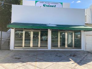 Storefront at Vegan Planet in Cancun