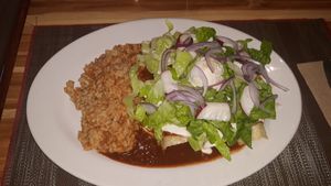 Enchiladas, Mexican rice, and salad at Vegan Planet in Cancun