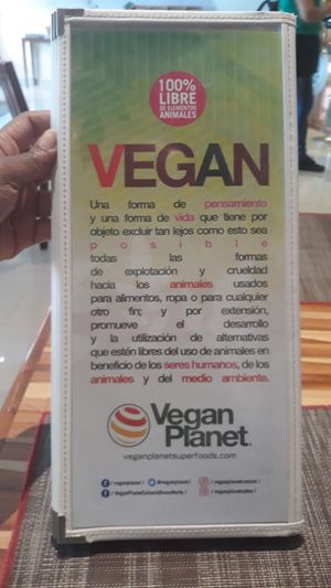 Menum at Vegan Planet in Cancun