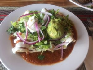 enchiladas  at Vegan Planet in Cancun