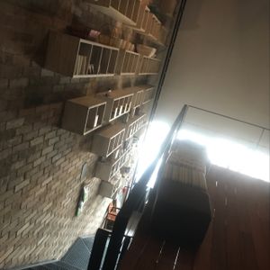 saye's choice  at Vegan Planet in Cancun