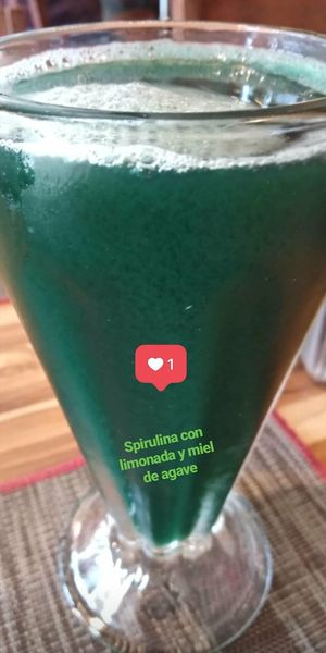 Spirulina con limonada y miel de agave at Vegan Planet in Cancun