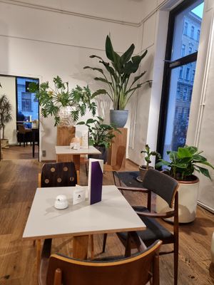 Interior with plants for sale 1 at Akrap Espressobar in Vienna