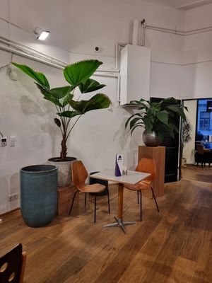 Interior with plants for sale 2 at Akrap Espressobar in Vienna